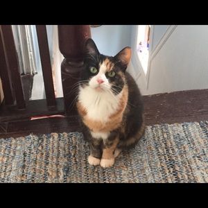 Meet your Posher, Jennifer